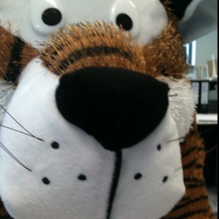 goshead's profile picture. A structural engineer who likes to design, cook and go for the occasional run.