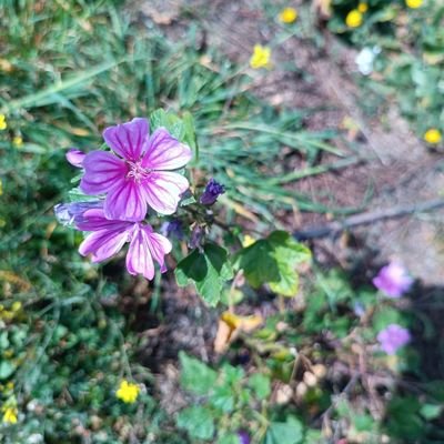 Natalia44085138's profile picture. Medico