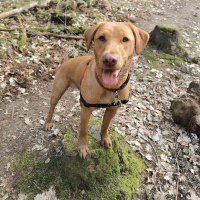 Gretchen Heard (@gretchenheard) 's Twitter Profile