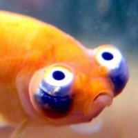 Tosky (@valerush6) 's Twitter Profile Photo Tosky (@valerush6) 's Twitter Profile Photo