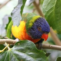 RoxieKershaw Photography (@rkershaw) 's Twitter Profile