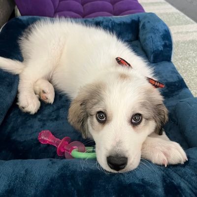 TradesSweeper's profile picture. Options and futures trader sharing my experience after recently transitioning to full time trading!