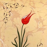 Lalezar🌷 (@istanbulaasik_) Twitter profile photo