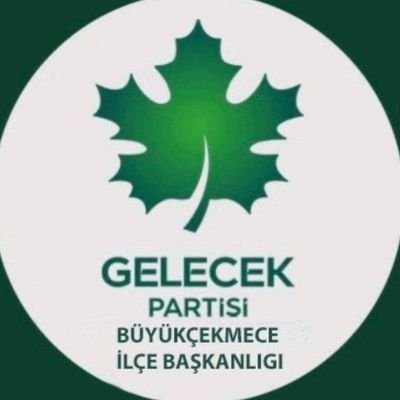 Büyükçekmece Gelecek Partisi İlçe Başkan Yardımcısı ve DIŞ İLİŞKİLER BAŞKANI