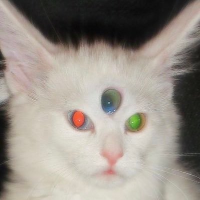 heylolpran's profile picture. Accountant swag