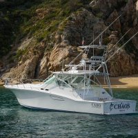 Top Anglers Sportfishing Cabo(@TopAnglersCabo) 's Twitter Profile Photo