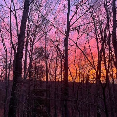 PJGerk's profile picture. 