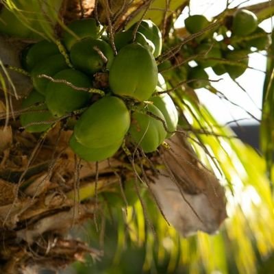 Hawaii photographer based on Oahu. Mahalo!