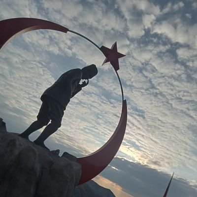 CelalNetron's profile picture. 