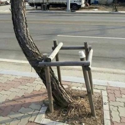 FlFranleb's profile picture. Si la jalousie , l'envie et la haine pouvaient être éliminées de l'univers, le socialisme disparaîtrait le même jour.#JeSuis85