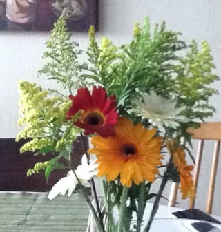 hoog0623's profile picture. 