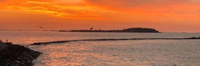 fgggfydd1234's profile picture. والله إنّك حبيبي لين يفنى العُمر