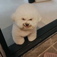 YourFavSwitch (@yourfavnerdo) 's Twitter Profile
