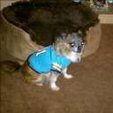 Leanne Wyatt - @banditsmom1 - Twitter