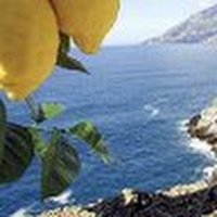 Humphrey Observer (@ob26433) 's Twitter Profile Photo