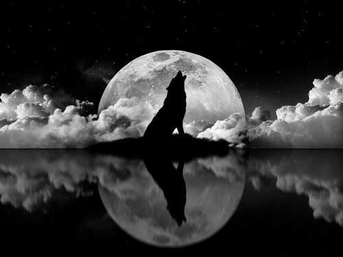 Wulf