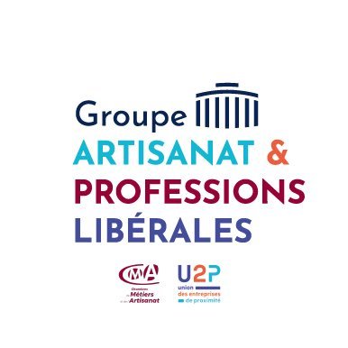 Actualité du Groupe de l’Artisanat et des Professions Libérales au Conseil Économique Social et Environnemental (@lecese) - @U2P_France @CMAFrance_