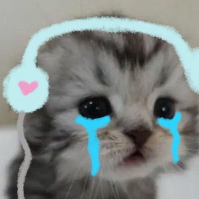 Beruangkota1's profile picture. B I S M I L L A H