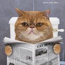 🥋 🇺🇸 Justin, RN 🧛🏻‍♂️👨🏼‍⚕️ - @VinylNJiuJitsu - Twitter