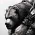 The Barbarian (@thebarbarianza) Twitter profile photo The Barbarian (@thebarbarianza) Twitter profile photo