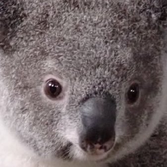 nenemi606's profile picture. 