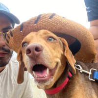 佐野 万次郎 (@luismaa_m) 's Twitter Profile