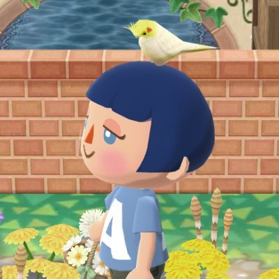 ちそともうします。BinTRoLL🐟/ポケ森🔰レイアウトなど。ほどほどにやってます✳無言フォロー失礼致します https://t.co/J1pr8iusgq（ポケ森専用）