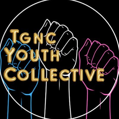 SisTers PGH’s TGNC Youth Collective! We are a group of BIPOC trans and gender non-conforming youth led by us, for us🏳️‍⚧️