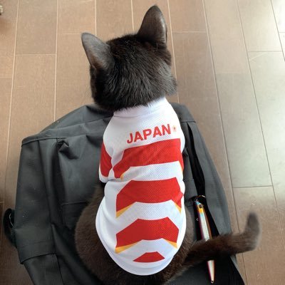 HRN94220874's profile picture. RWC2019にわかスタートのラグビーファン🏉早稲田とイングランドとサントリー応援してます🏉 🐈‍⬛溺愛💕