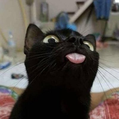 slave_HPLC's profile picture. I believis