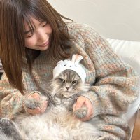 つき🐈FOR YOU (@tsuki_gomatan) 's Twitter Profile