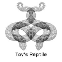 Toy's Reptile(@e98215sr) 's Twitter Profile Photo