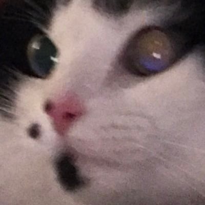 Hatsune_Memekuo's profile picture. First sound from the memes . Furry/vxcaloid/OC artist . Neruke enjoyer . Schizophrenic + DID /
I'm 19 :3