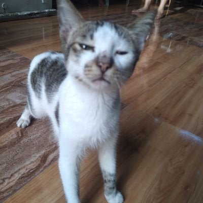 l0r0dyn's profile picture. for; trauma dumping, rants, shits, fangirling, basta ano