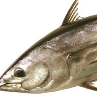 束になっても雑魚は雑魚💌 だから気にせずまいりましょう❤️大文字山の大の字をエロいと思うのは私だけかな？