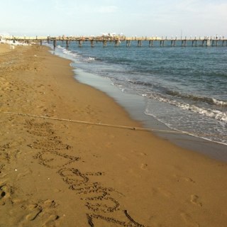 leventMcelik's profile picture. 