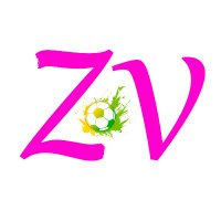 zvbest(@ZVLOVE86) 's Twitter Profile Photo