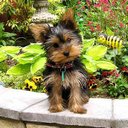 Eleanor Paige Riley - @EllieRiley261 - Twitter