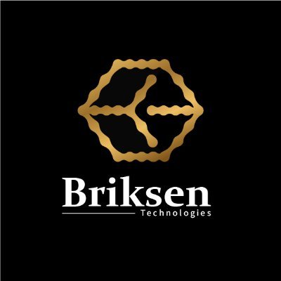 Briksentech's profile picture. Blockchain development company that will take the technology at a new level and design and develop technology protocols.