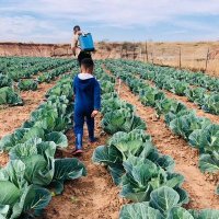 Young Farmer (@carliskan72) 's Twitter Profile