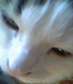 uki312's profile picture. 