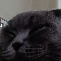 onurcan7979 (@onurcan790) Twitter profile photo
