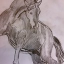 Hanna Orr - @ponnypluttan - Twitter