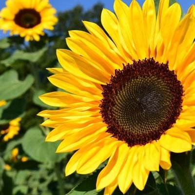 RebeccaS051's profile picture. 