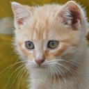 Robin Capps - @CappsRobin2086 - Twitter