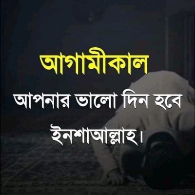 kolizajj8's profile picture. 