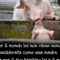Roberta Papa (@robertapapa13) 's Twitter Profile Photo Roberta Papa (@robertapapa13) 's Twitter Profile Photo
