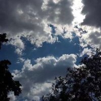 معاذ (@mb_063) 's Twitter Profile