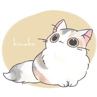 きなこ🐾短足ミヌエット(@123_n0_neko) 's Twitter Profile Photo