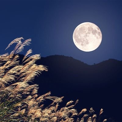 UnSpxJkkbDaDK3x's profile picture. 日本が大好きで反日左翼が大嫌いです🇯🇵